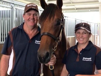 Davali Thoroughbreds: From Preparing Sales Toppers To Breedi ... Image 1